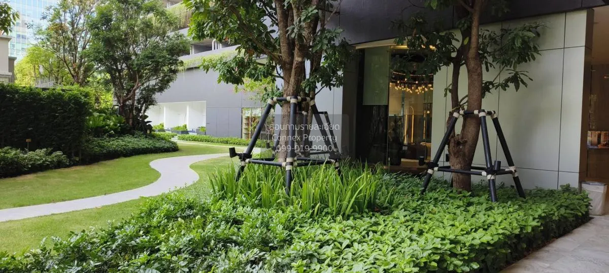 เช่าคอนโด  ไลฟ์ พระราม 4 - อโศก คลองเตย เขต คลองเตย กรุงเทพ CX-11