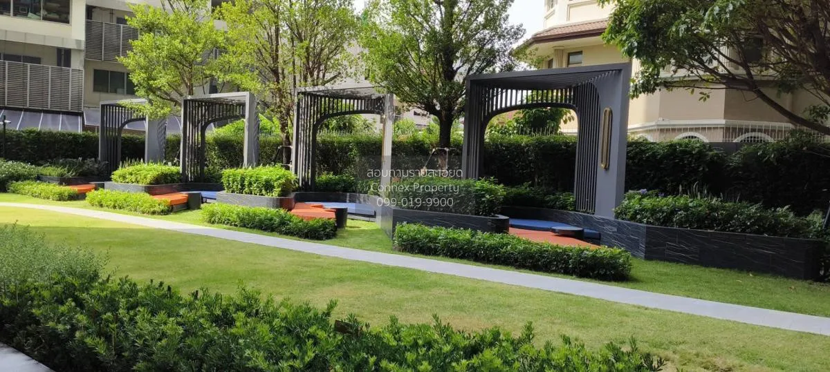 เช่าคอนโด  ไลฟ์ พระราม 4 - อโศก คลองเตย เขต คลองเตย กรุงเทพ CX-11