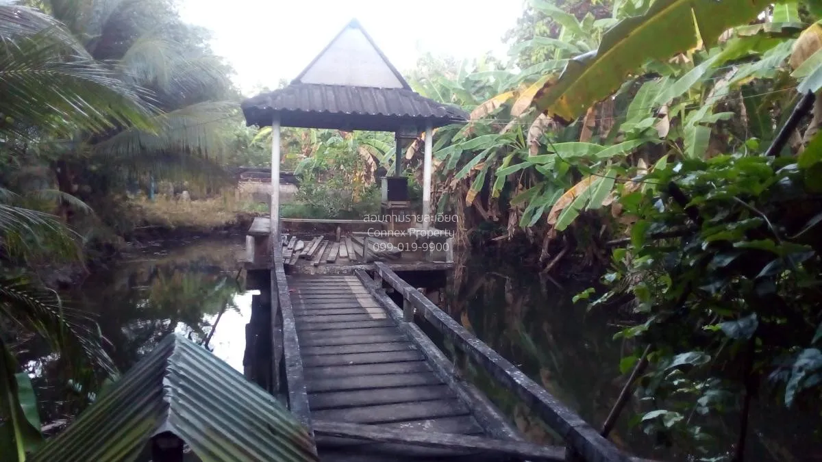 ขายบ้านเดี่ยว 2 ชั้น  ริมน้ำ ซอยชนเกษม 43 มะขามเตี้ย เมืองสุราษฎร 2