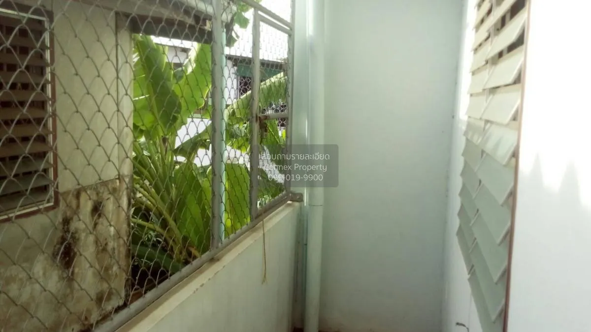 ขายทาวน์โฮม 2 ชั้น 18 ตารางวา ซอย ตอนนก 11 สุราษฎร์ธานี มะขามเตี้