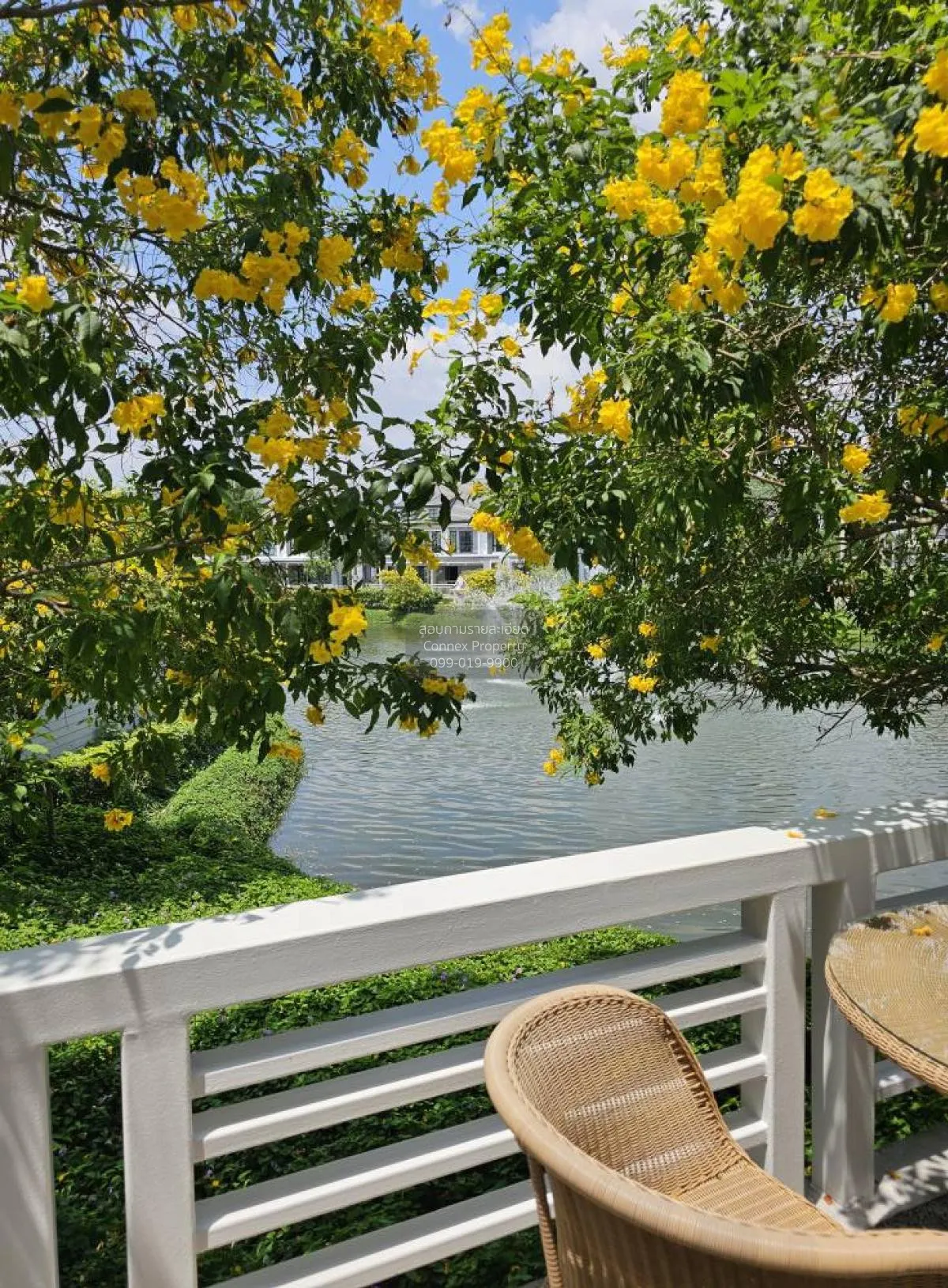 ขายบ้าน  บุราสิริ ปัญญาอินทรา บางชัน เขต คลองสามวา กรุงเทพ CX-117