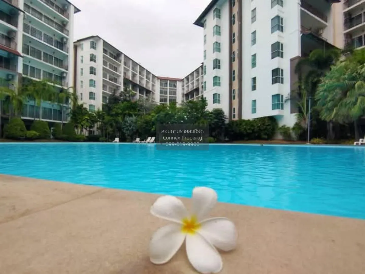 ขายคอนโด  เอดี รีสอร์ท ชะอำ - หัวหิน วิวสวย ชั้นสูง ชะอำ ชะอำ เพช