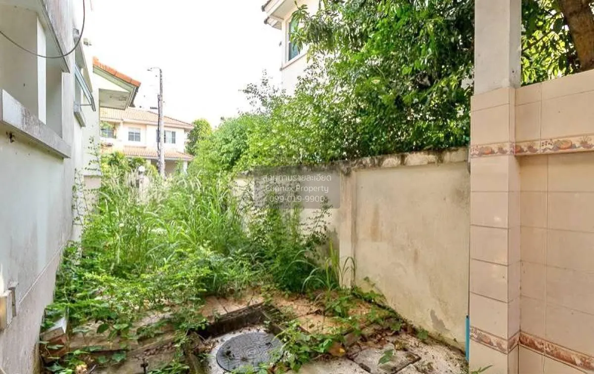 ขายบ้าน  ปาริชาติ สุวินทวงศ์ หน้ากว้าง ลำปลาทิว เขต ลาดกระบัง กรุ