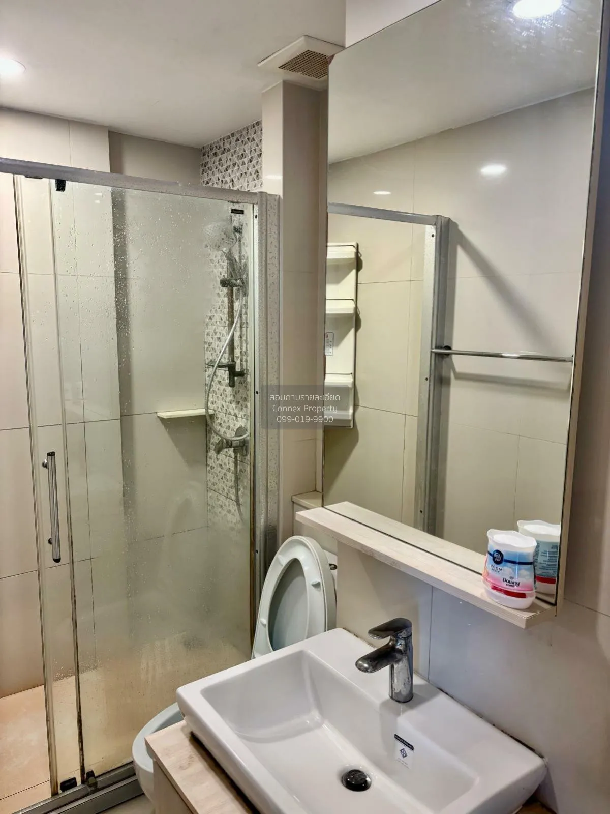 For Rent Condo , The Tree Sukhumvit 64 , BTS-Punnawithi , Phra Kh