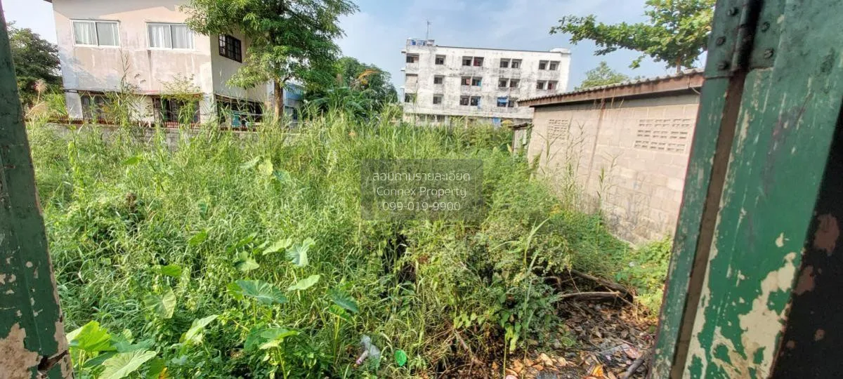 ขายบ้านเดี่ยว สวัสดิการ2ซอย4 หนองแขม เขต หนองแขม กรุงเทพ CX-11831 4