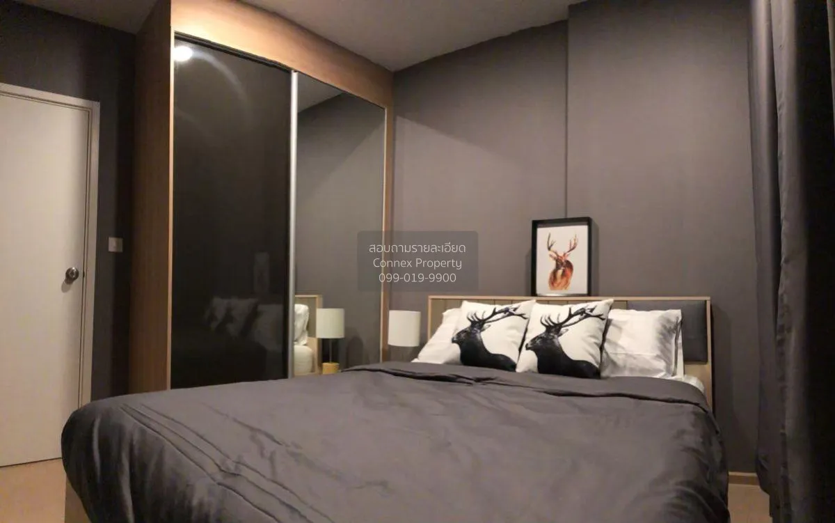 For Rent Condo , The Tree Sukhumvit 71 , ARL-Ramkhamhaeng , Suan  4