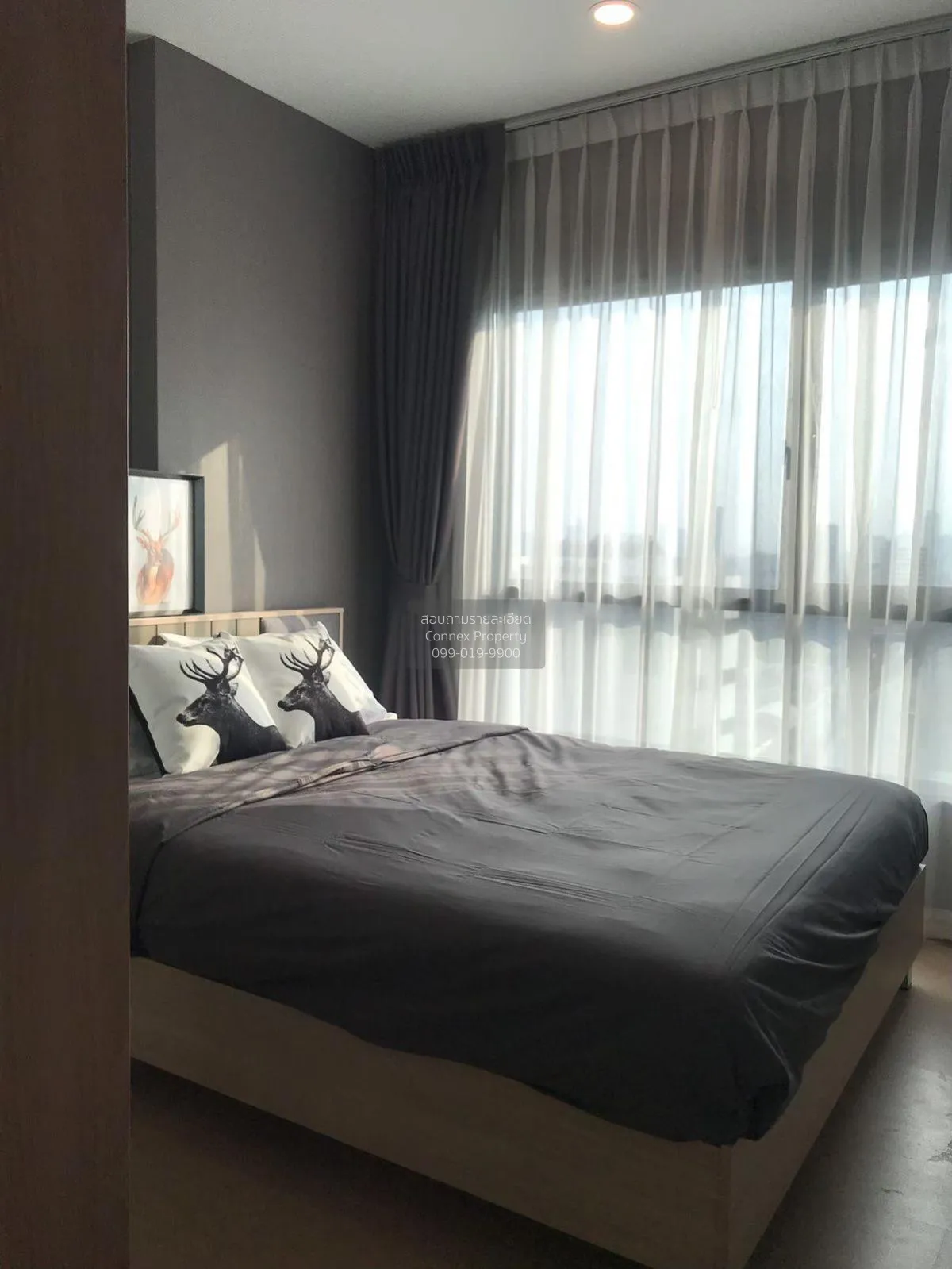 For Rent Condo , The Tree Sukhumvit 71 , ARL-Ramkhamhaeng , Suan 