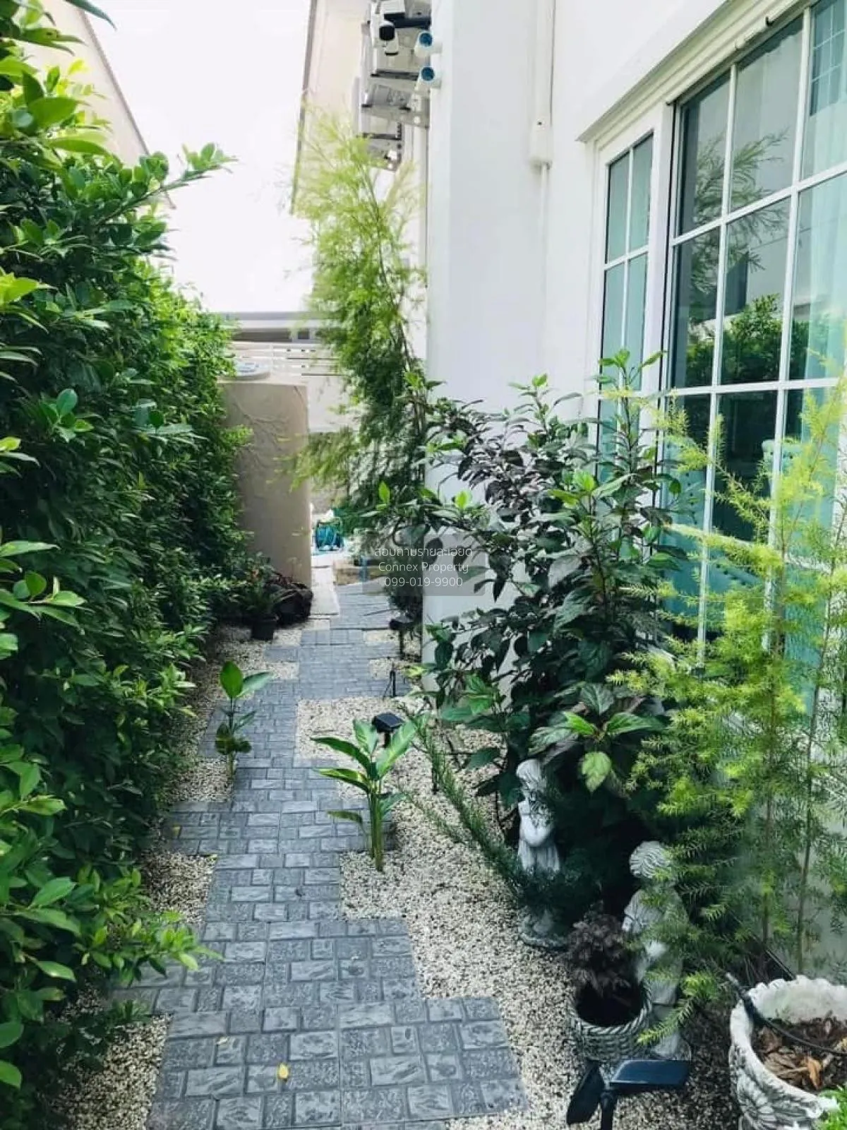 เช่าบ้าน  โกลเด้น นีโอ สาทร บางหว้า เขต ภาษีเจริญ กรุงเทพ CX-1188