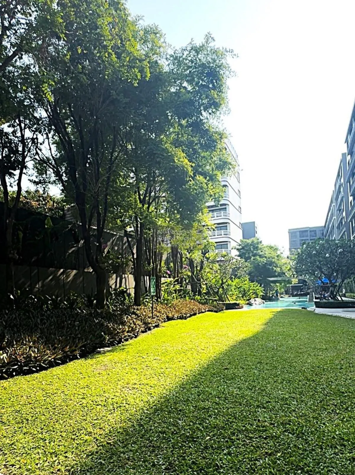 For Rent Condo , Marvest Hua Hin , nice view , Hua Hin , Hua Hin 