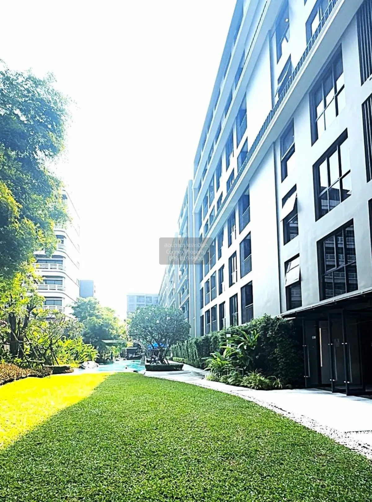 For Rent Condo , Marvest Hua Hin , nice view , Hua Hin , Hua Hin 