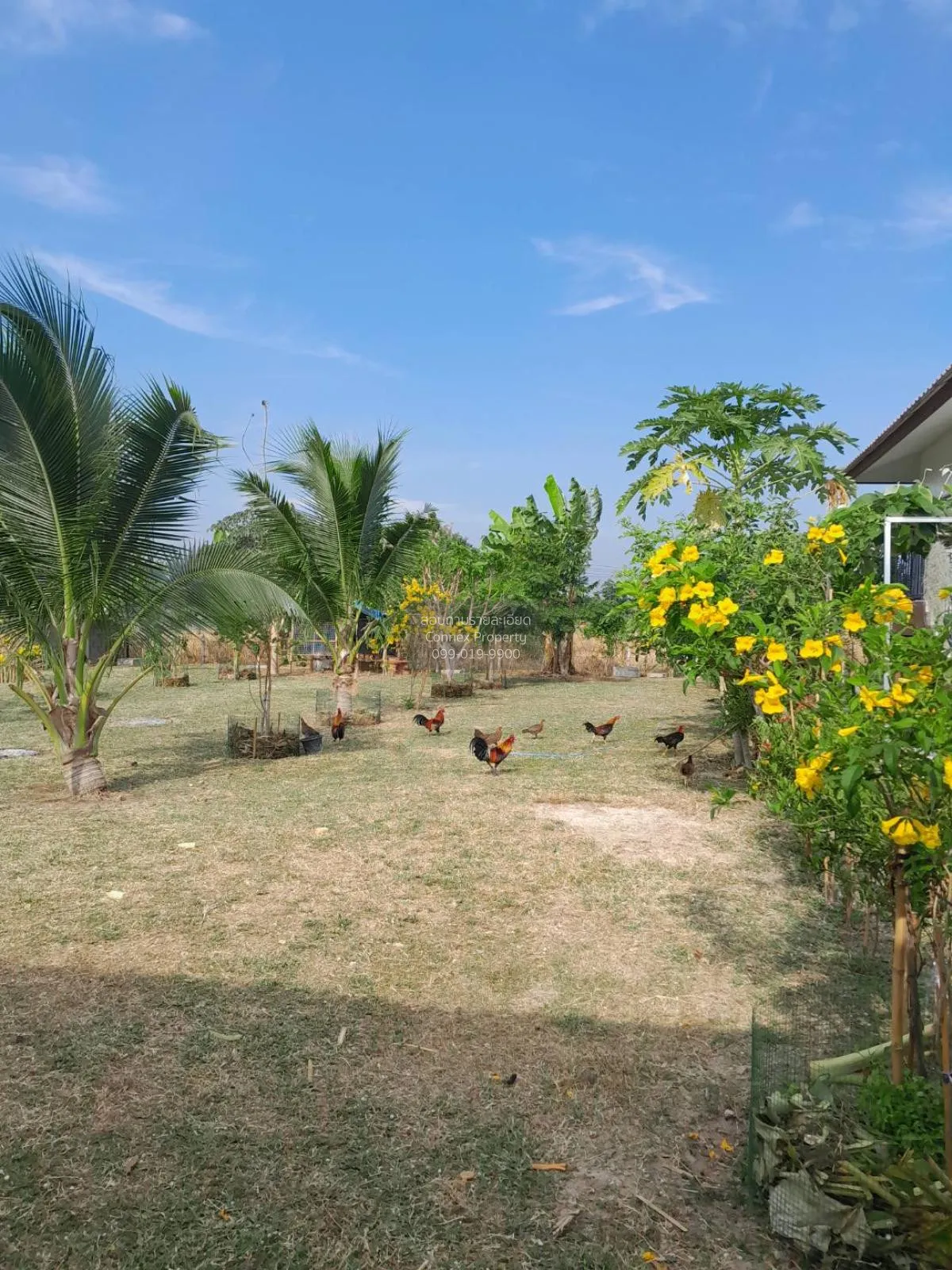 บ้านส่วนตัว เขาหินเหล็กไฟ หัวหิน CX-118995 1