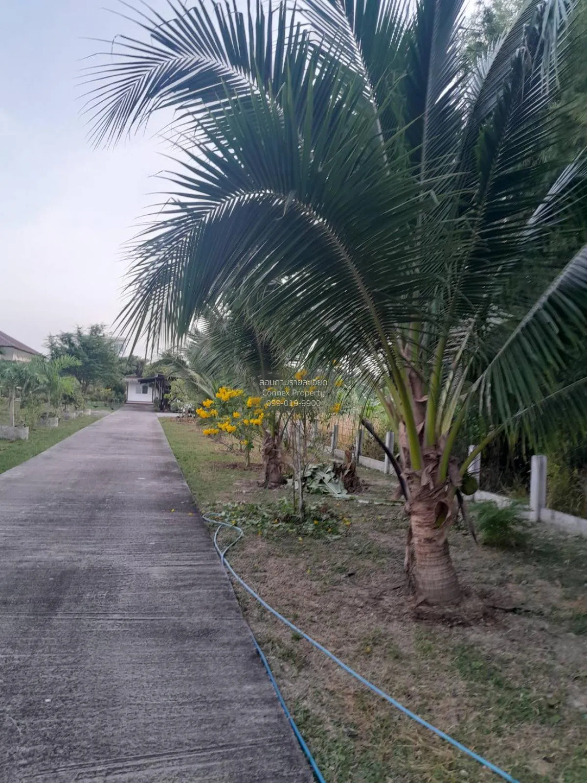 บ้านส่วนตัว เขาหินเหล็กไฟ หัวหิน CX-118995