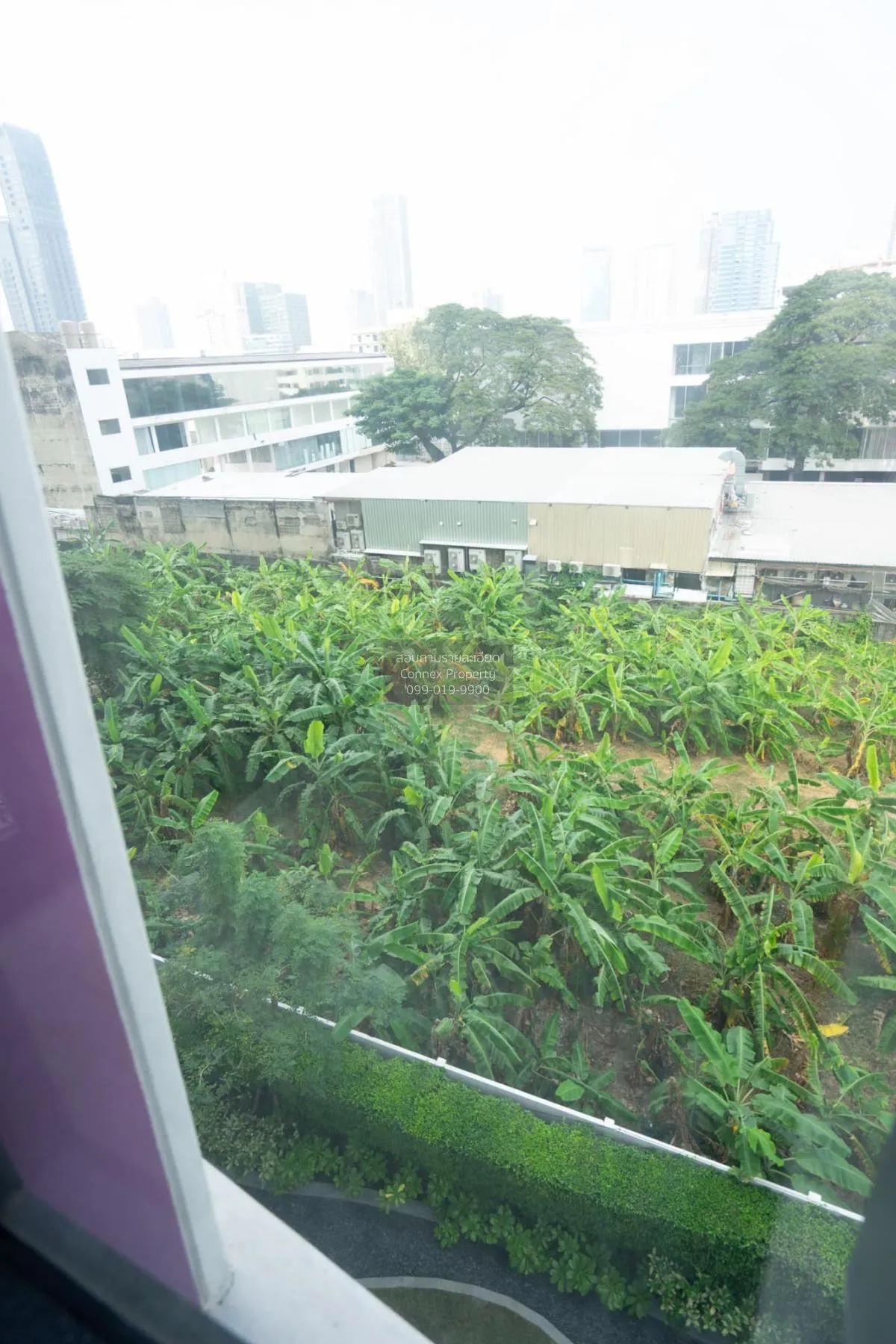 เช่าคอนโด  เอ็กซ์ที เอกมัย BTS-เอกมัย คลองตันเหนือ เขต วัฒนา กรุง