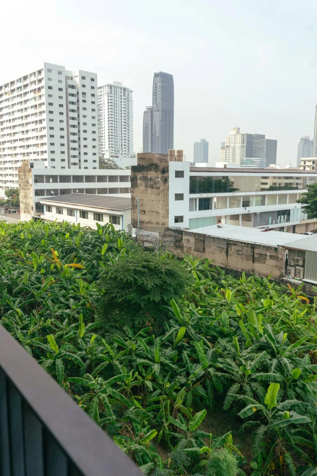 เช่าคอนโด  เอ็กซ์ที เอกมัย BTS-เอกมัย คลองตันเหนือ เขต วัฒนา กรุง