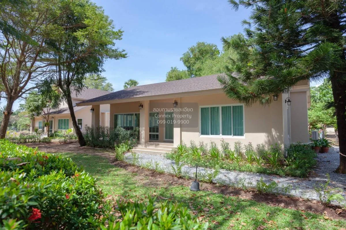 เช่าพูลวิล่า ราไวย์ ภูเก็ต ราไวย์ เมืองภูเก็ต ภูเก็ต CX-119284