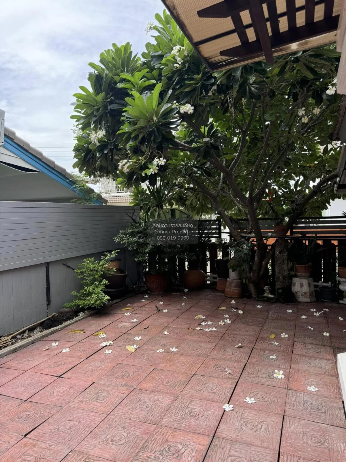 ขายบ้าน  พฤกษ์ลดา รังสิต คลอง 4 ลาดสวาย ลำลูกกา ปทุมธานี CX-11928