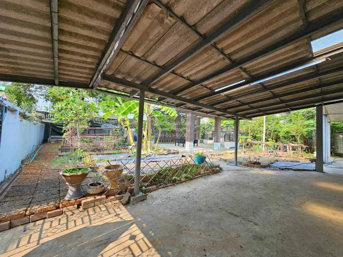 เช่าบ้านสวน ซอย ลาดพร้าว 1 แยก 25 แขวงจอมพล เขตจตุจักร กรุงเทพมหา