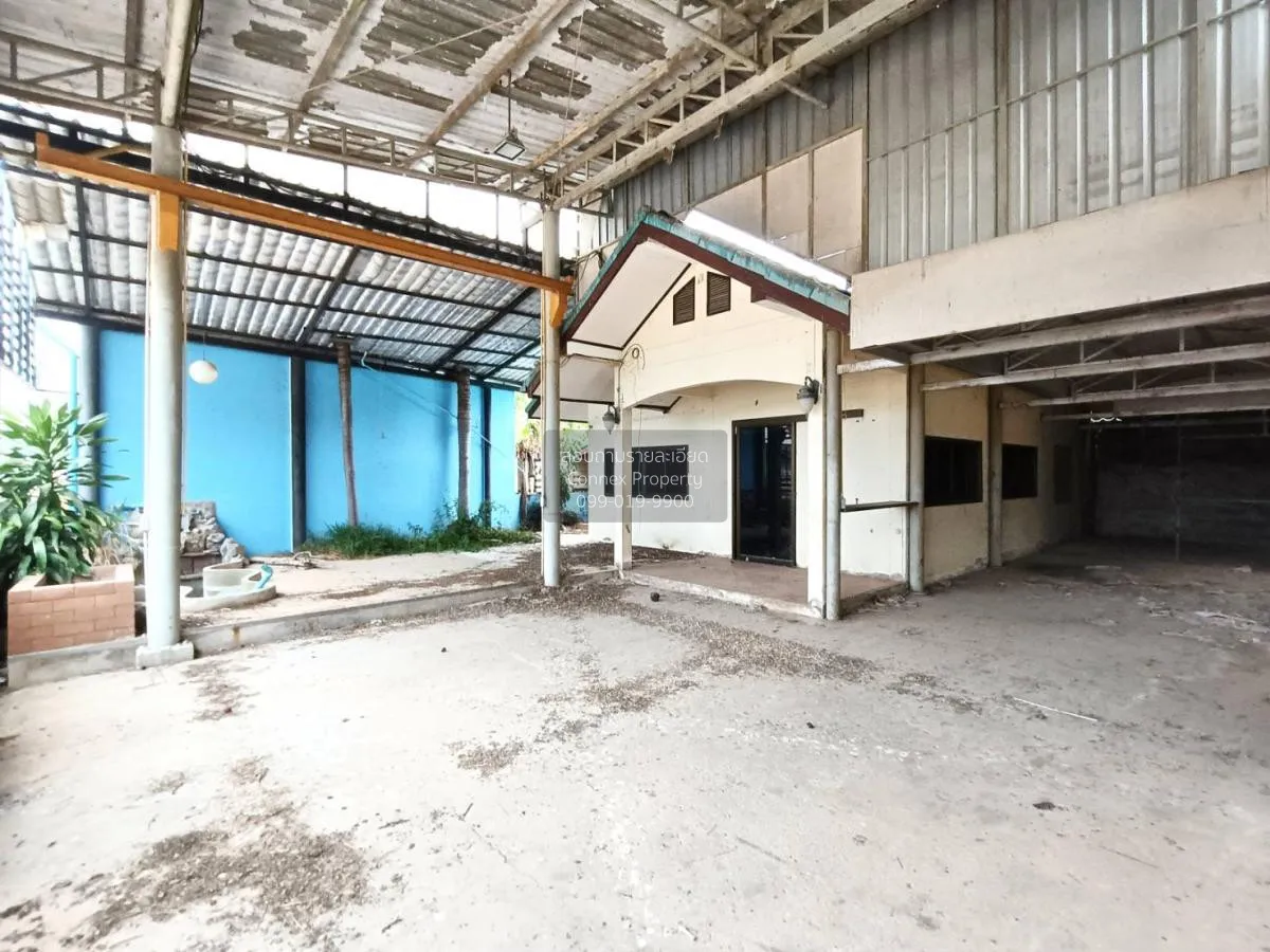 ขายบ้านเดี่ยว 1 ชั้น เนื้อที่ 71 ตารางวา หัวหิน ประจวบคีรีขันธ์ ห 4