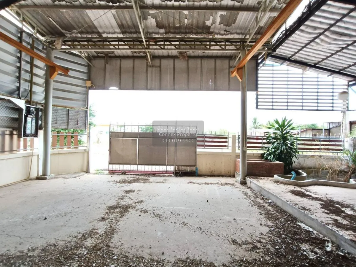 ขายบ้านเดี่ยว 1 ชั้น เนื้อที่ 71 ตารางวา หัวหิน ประจวบคีรีขันธ์ ห