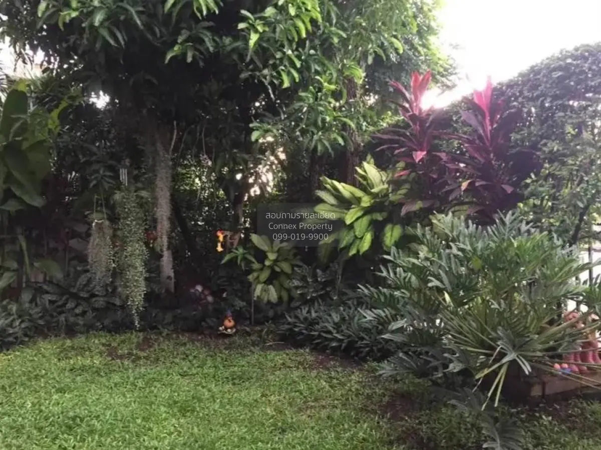 For Sale House , Saransiri Ratchaphruek - Chaengwattana , Bang Ph 4