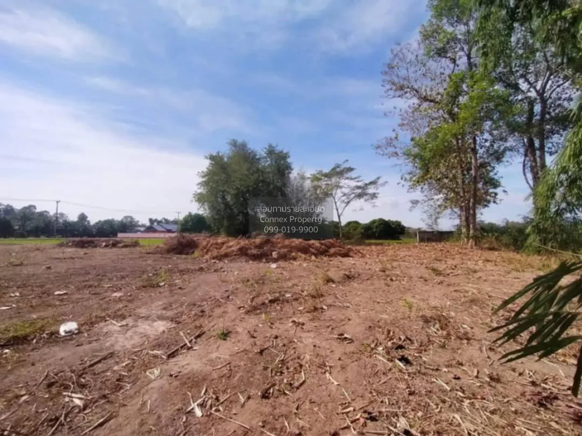 For Sale Vacant land Nakhon Nayok , Sarika , Mueang Nakhon Nayok  3