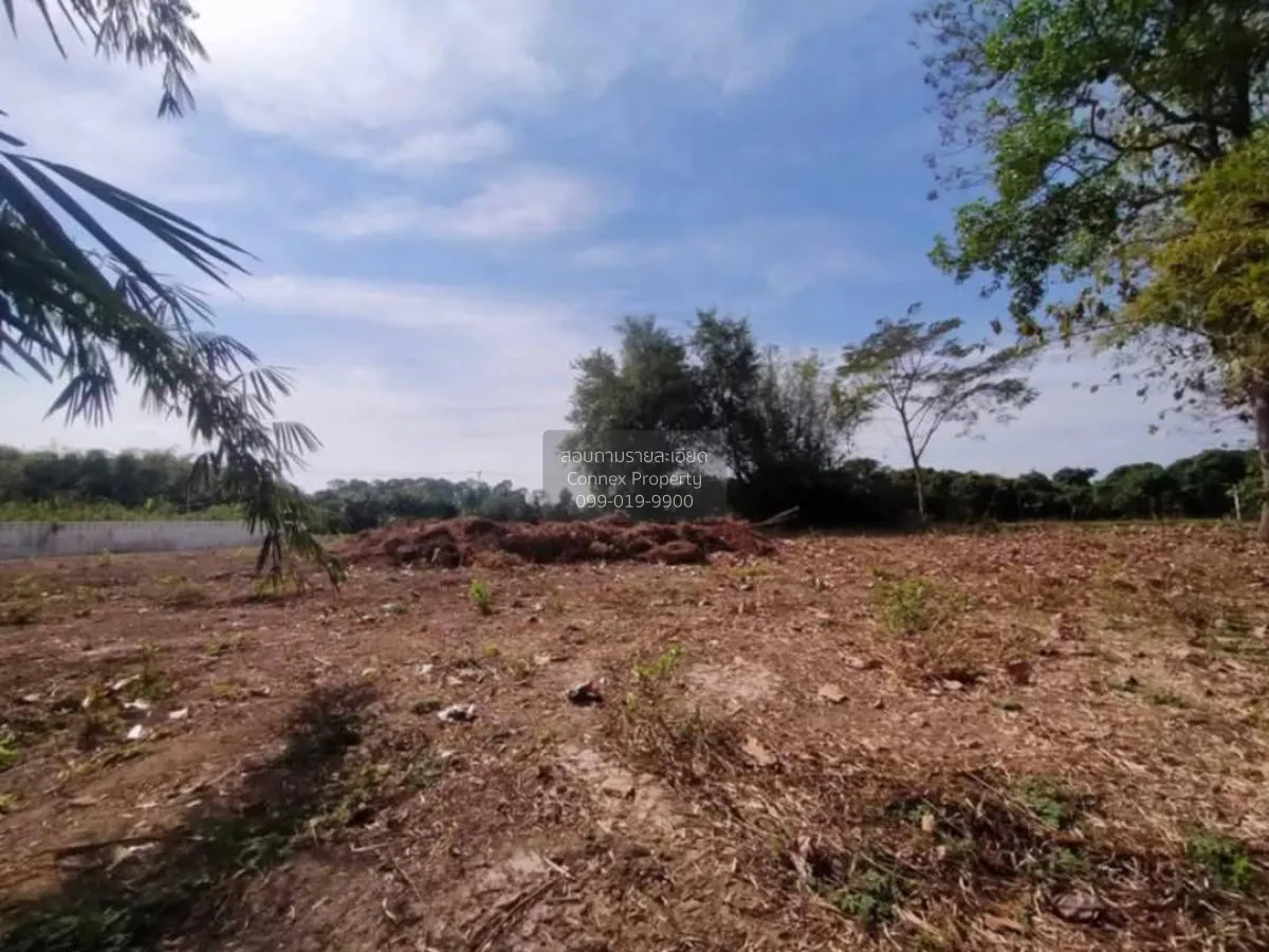 For Sale Vacant land Nakhon Nayok , Sarika , Mueang Nakhon Nayok  4