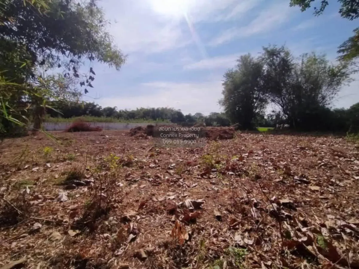 For Sale Vacant land Nakhon Nayok , Sarika , Mueang Nakhon Nayok 