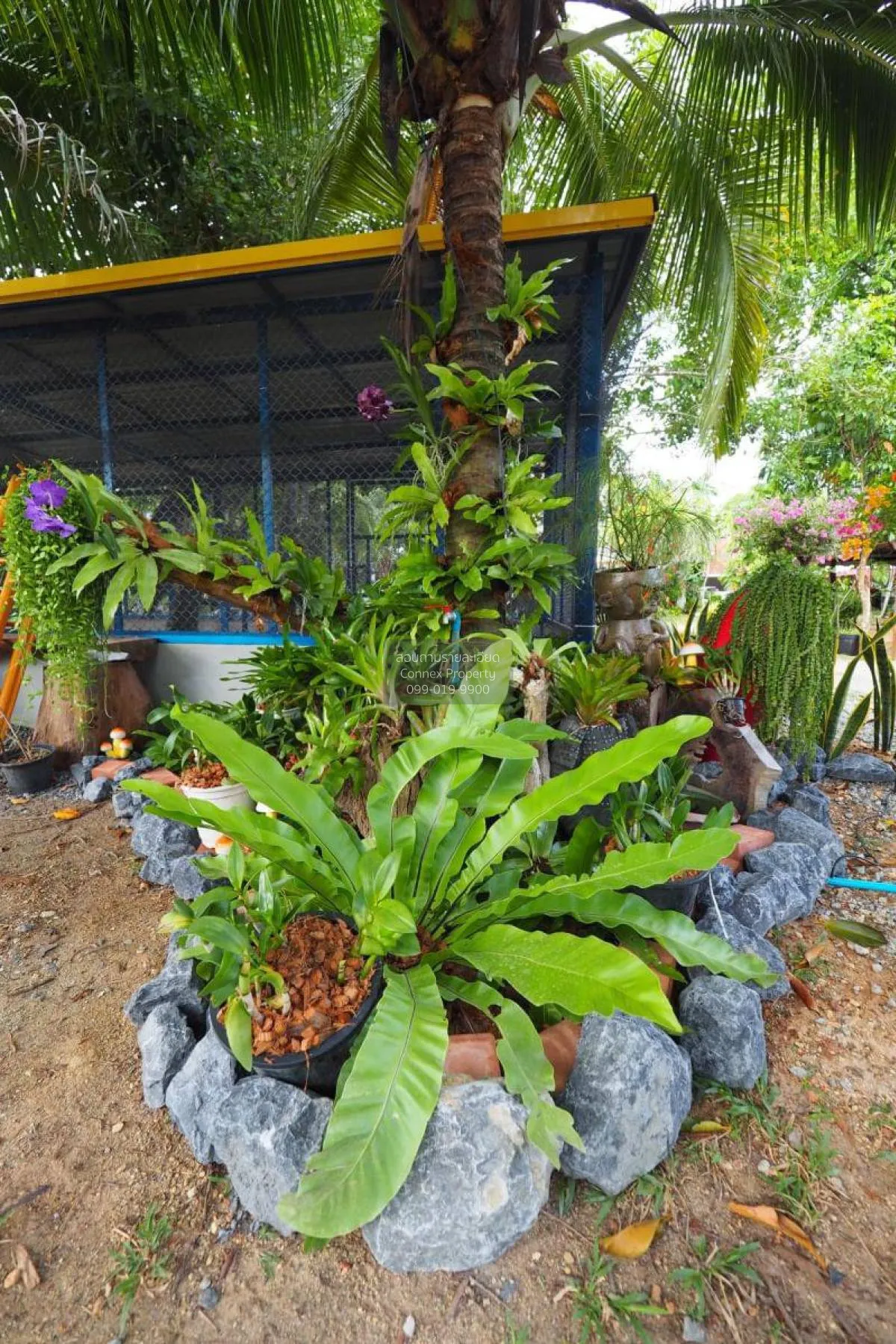 เช่าวิลล่า ฉลอง ภูเก็ต ฉลอง เมืองภูเก็ต ภูเก็ต CX-119671