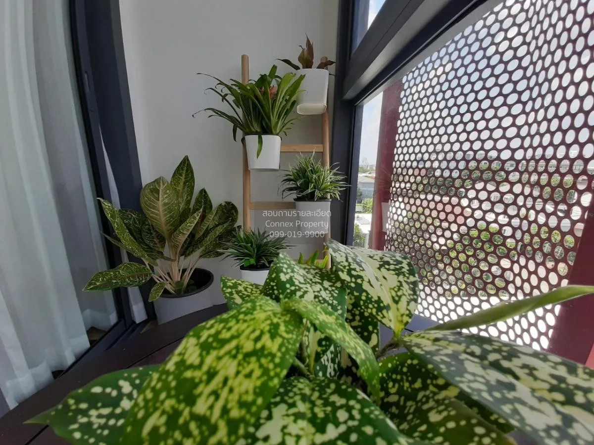 For Sale Condo , Taka Haus , BTS-Ekkamai , Khlong Tan Nuea , Watt