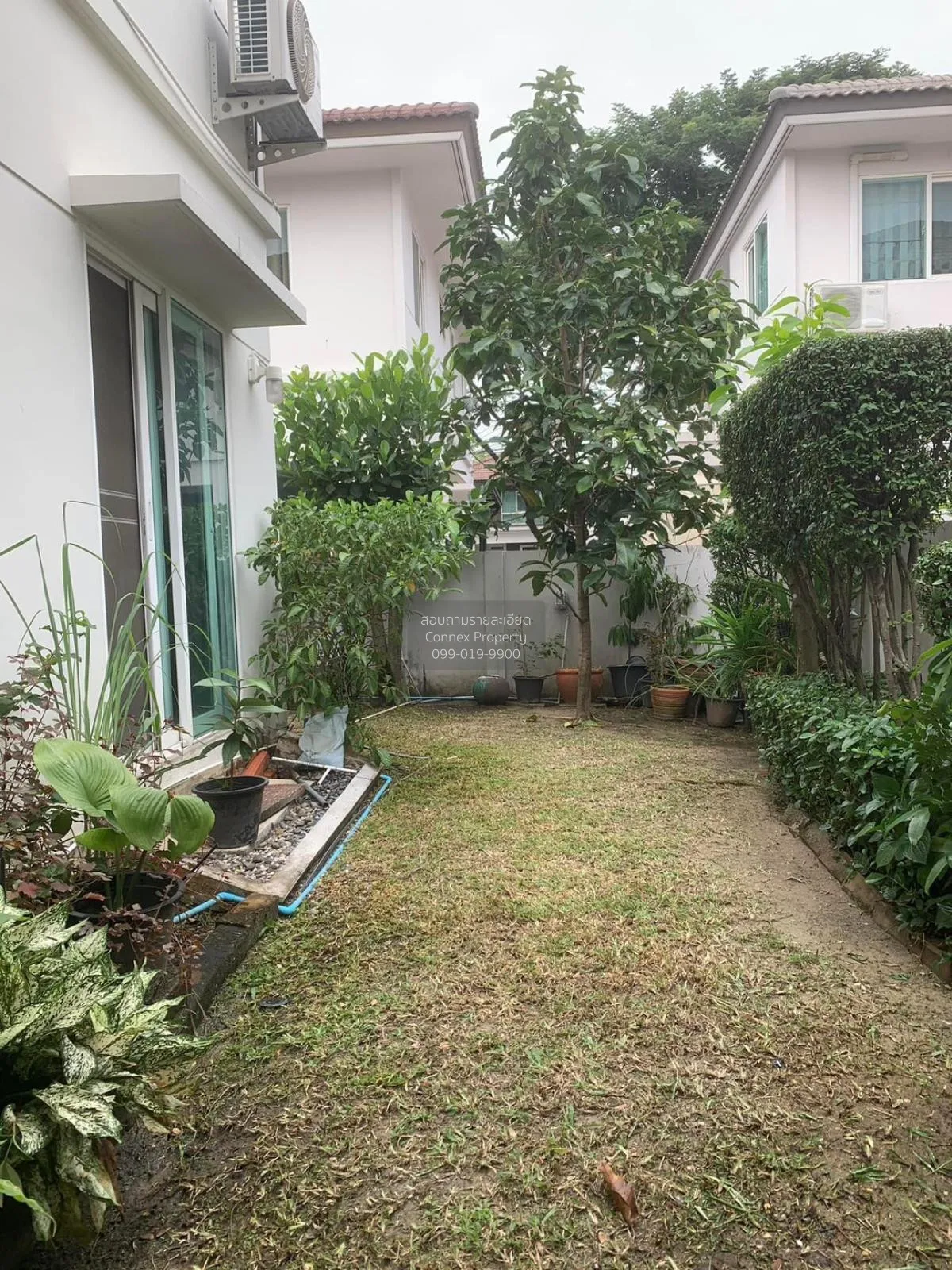 For Sale House , Pruklada 3 Rangsit-Klong 4 , Lat Sawai , Lam Luk 4