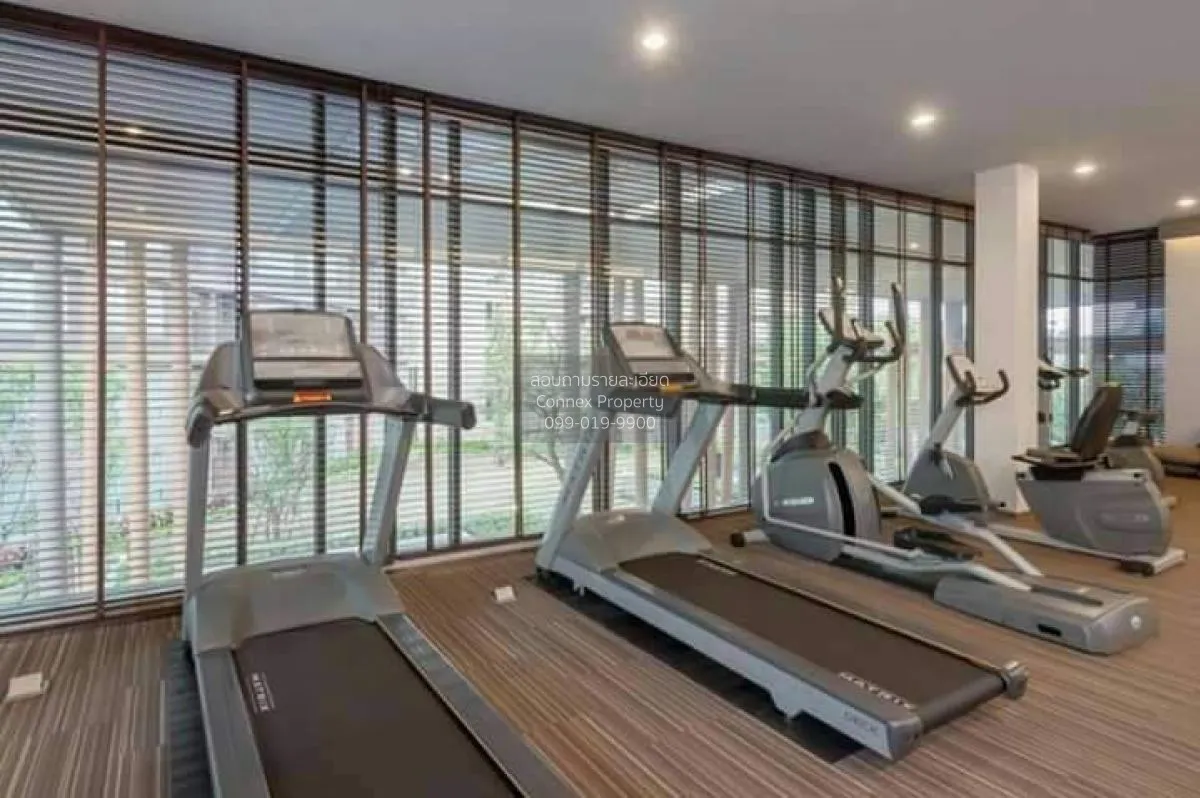 เช่าคอนโด  ดีคอนโด ครีก ภูเก็ต กะทู้ กะทู้ ภูเก็ต CX-119795