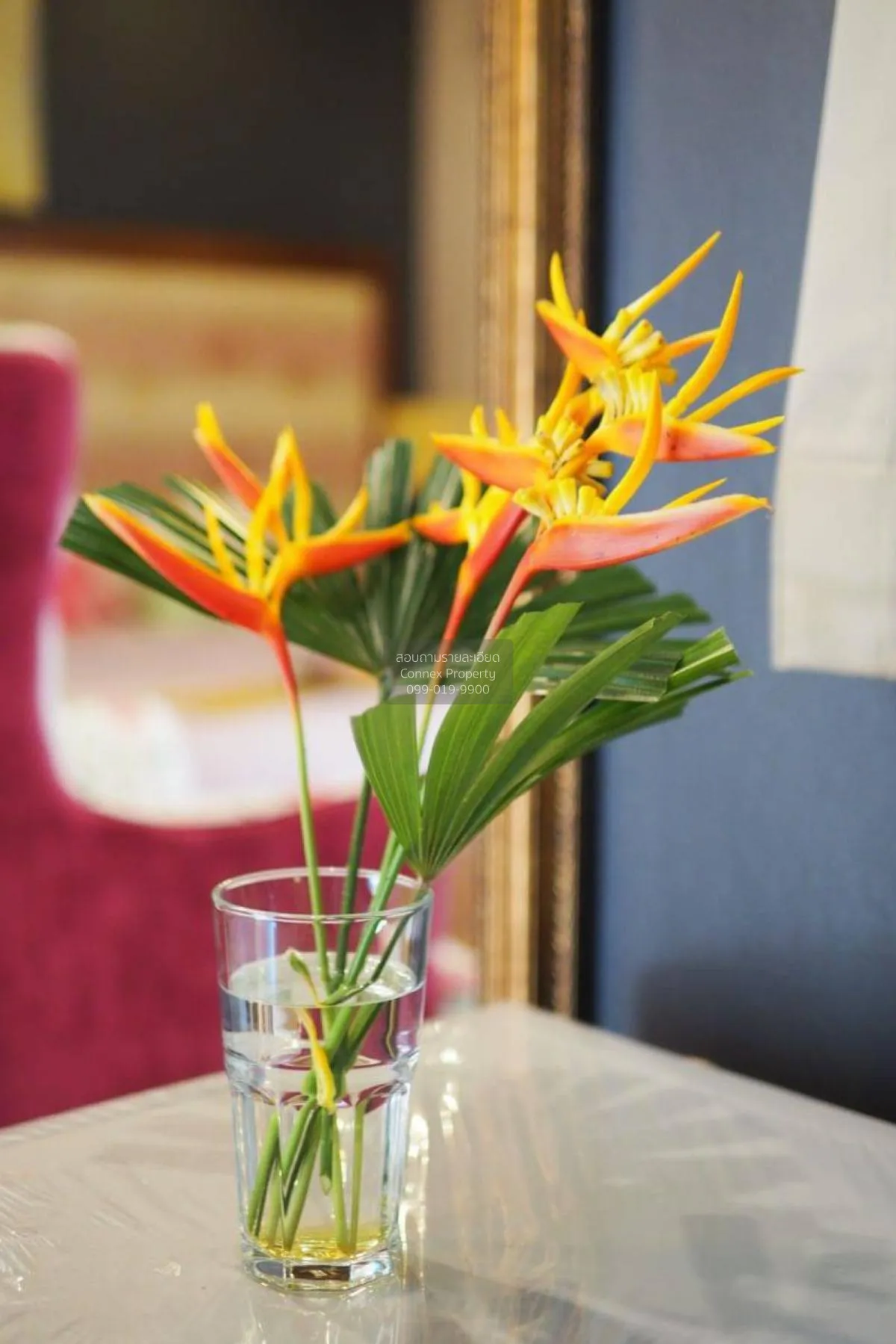 ขายวิลล่า ฉลอง ภูเก็ต ฉลอง เมืองภูเก็ต ภูเก็ต CX-119798