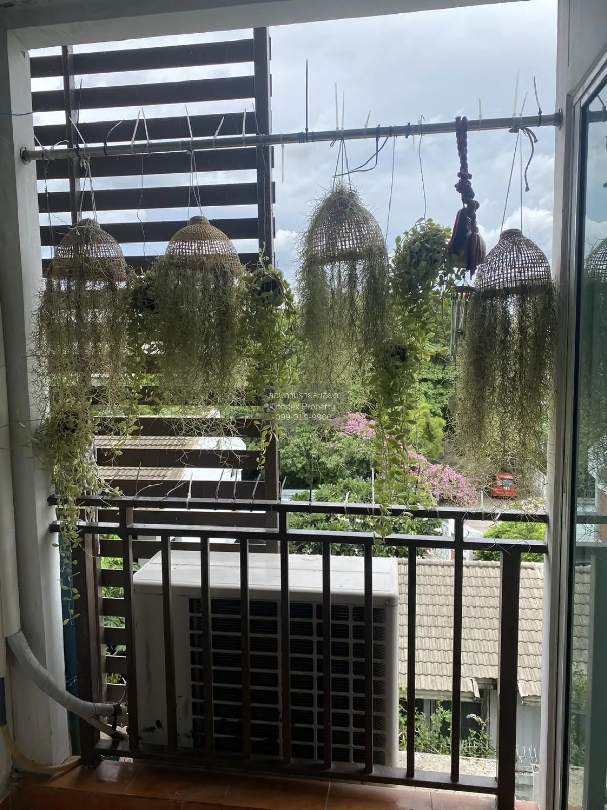 For Rent Condo , Regent Home 14 Sukhumvit 93 , Bang Chak , Phra K