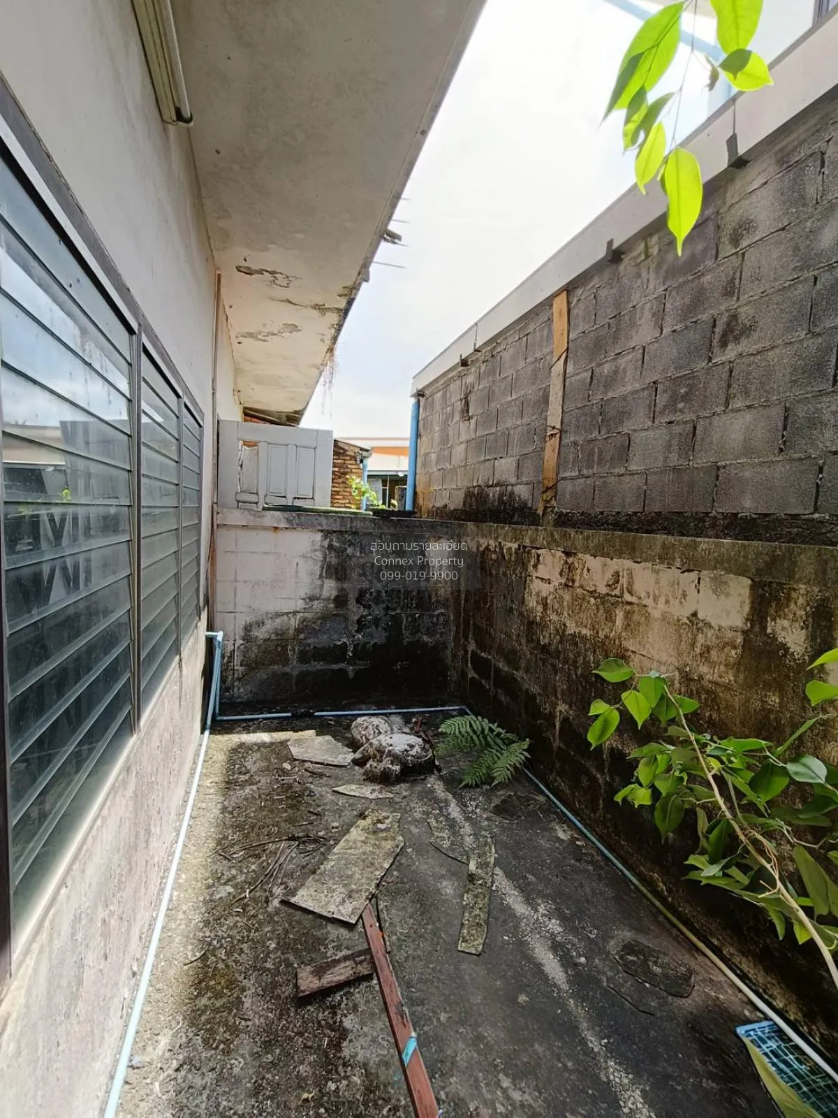 ขายทาวน์เฮ้าส์ เมืองสุราษฎร์ธานี-พ่อขุนทะเล มะขามเตี้ย เมืองสุราษ