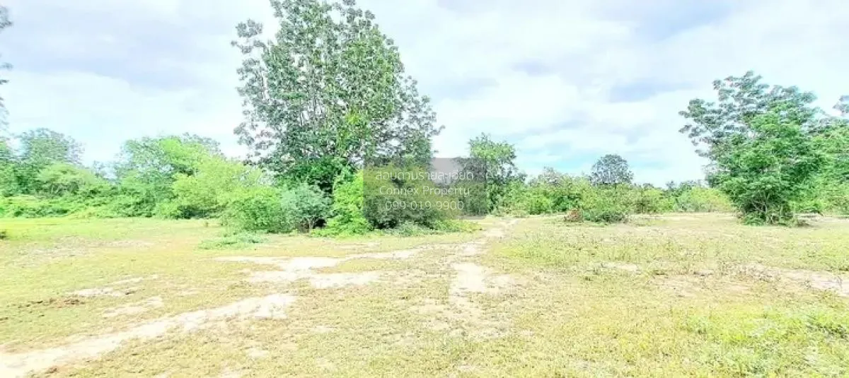 ขายที่ดินเปล่า ทับใต้ หัวหิน ประจวบคีรีขันธ์ CX-120222 2