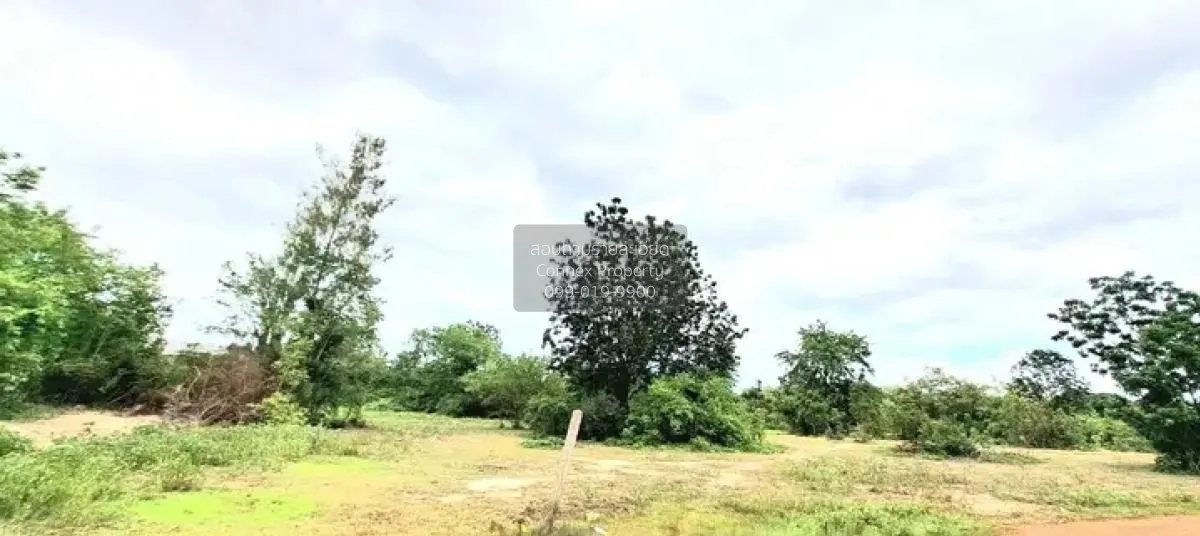 ขายที่ดินเปล่า ทับใต้ หัวหิน ประจวบคีรีขันธ์ CX-120222 3