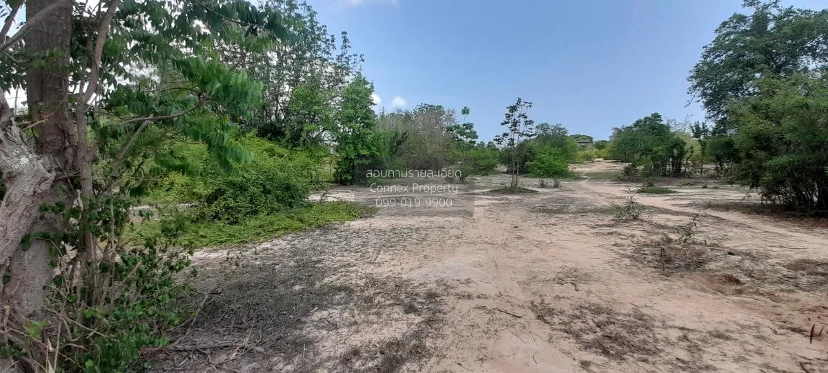 ขายที่ดินเปล่า ทับใต้ หัวหิน ประจวบคีรีขันธ์ CX-120222