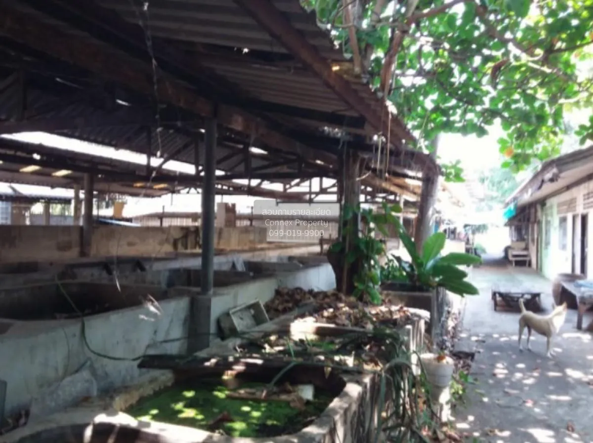 ขายโกดัง 2 ไร่  ถนน รังสิต - นครนายก 53 จังหวัด ปทุม ประชาธิปัตย์