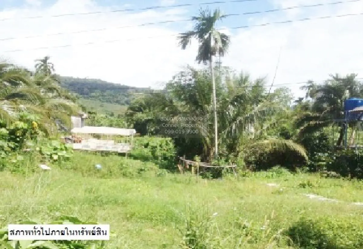 For Sale land 48 square wah Koh Lanta Krabi , Ko Lanta Yai , Ko L 1