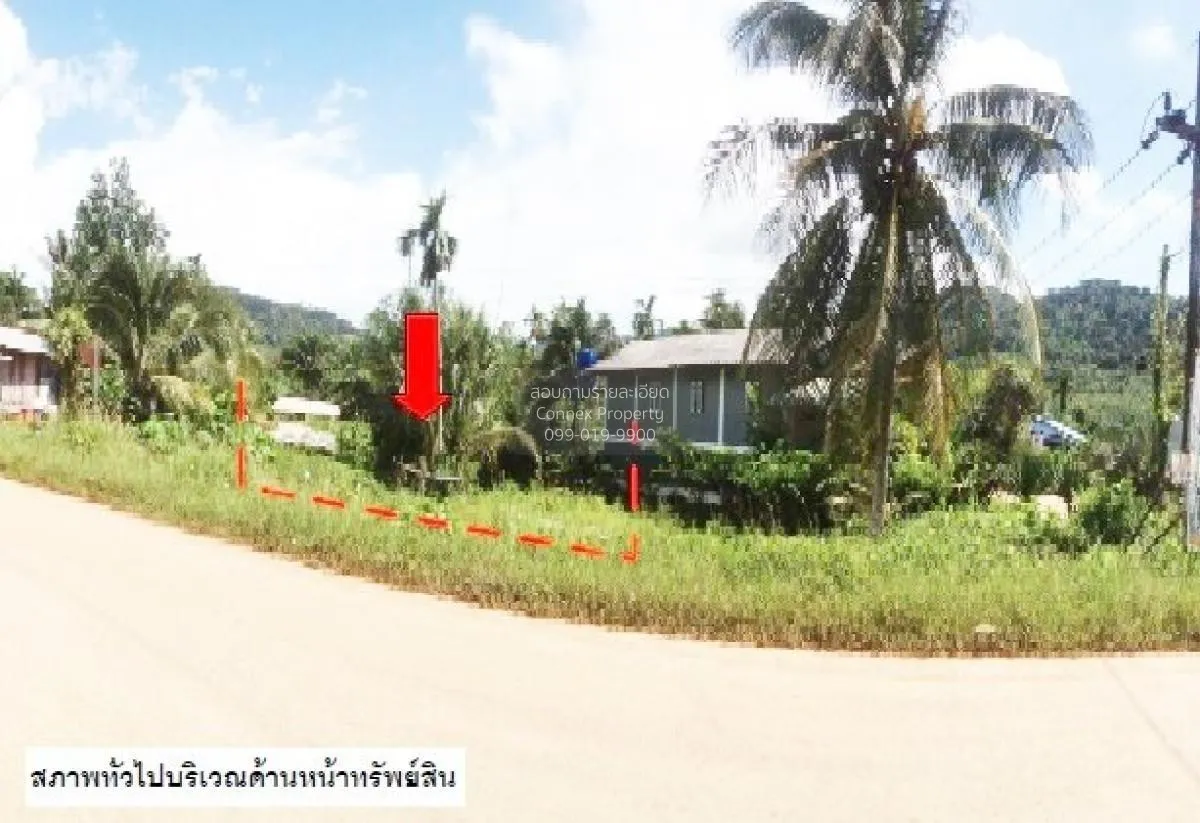For Sale land 48 square wah Koh Lanta Krabi , Ko Lanta Yai , Ko L 2