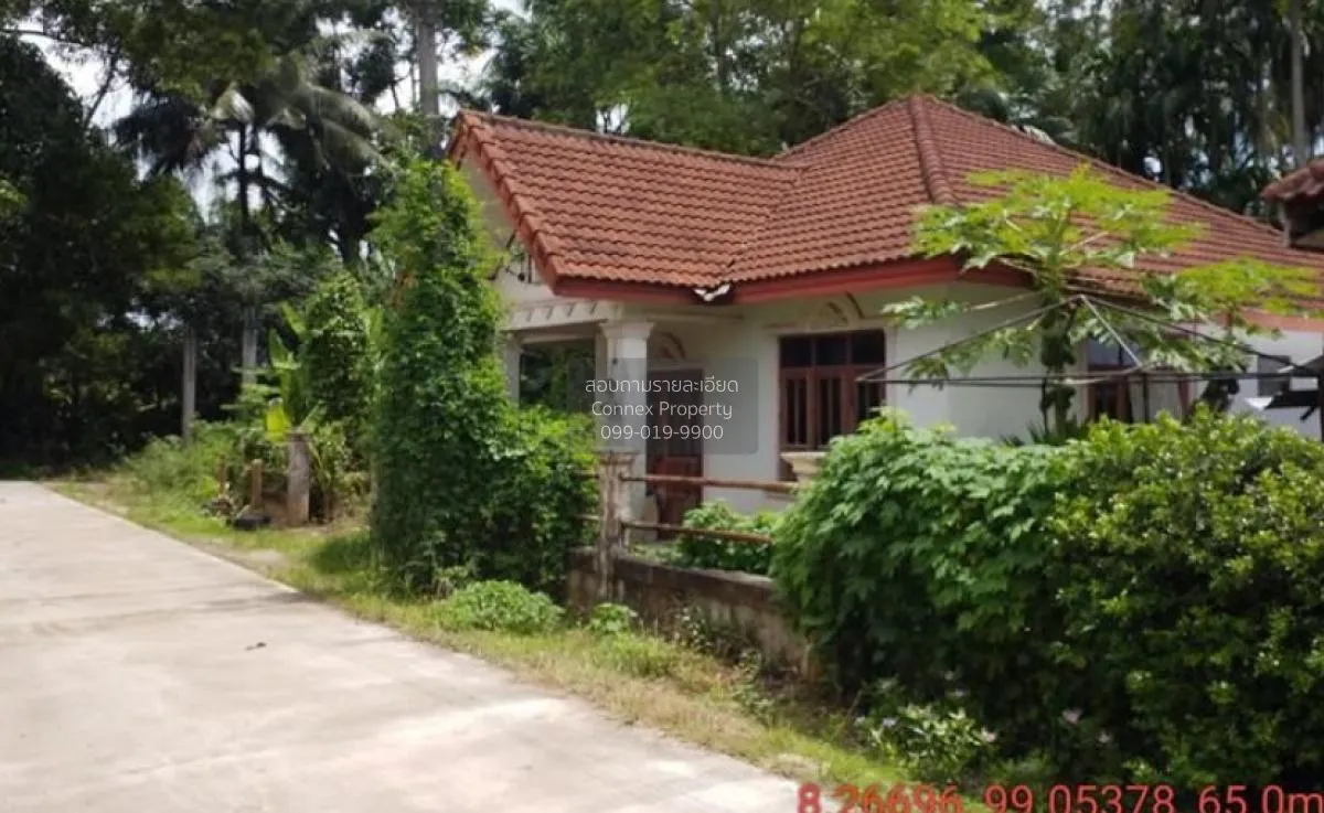 For Sale 1 - storey  house 51 square wah Khao Phanom Krabi , Khao 2