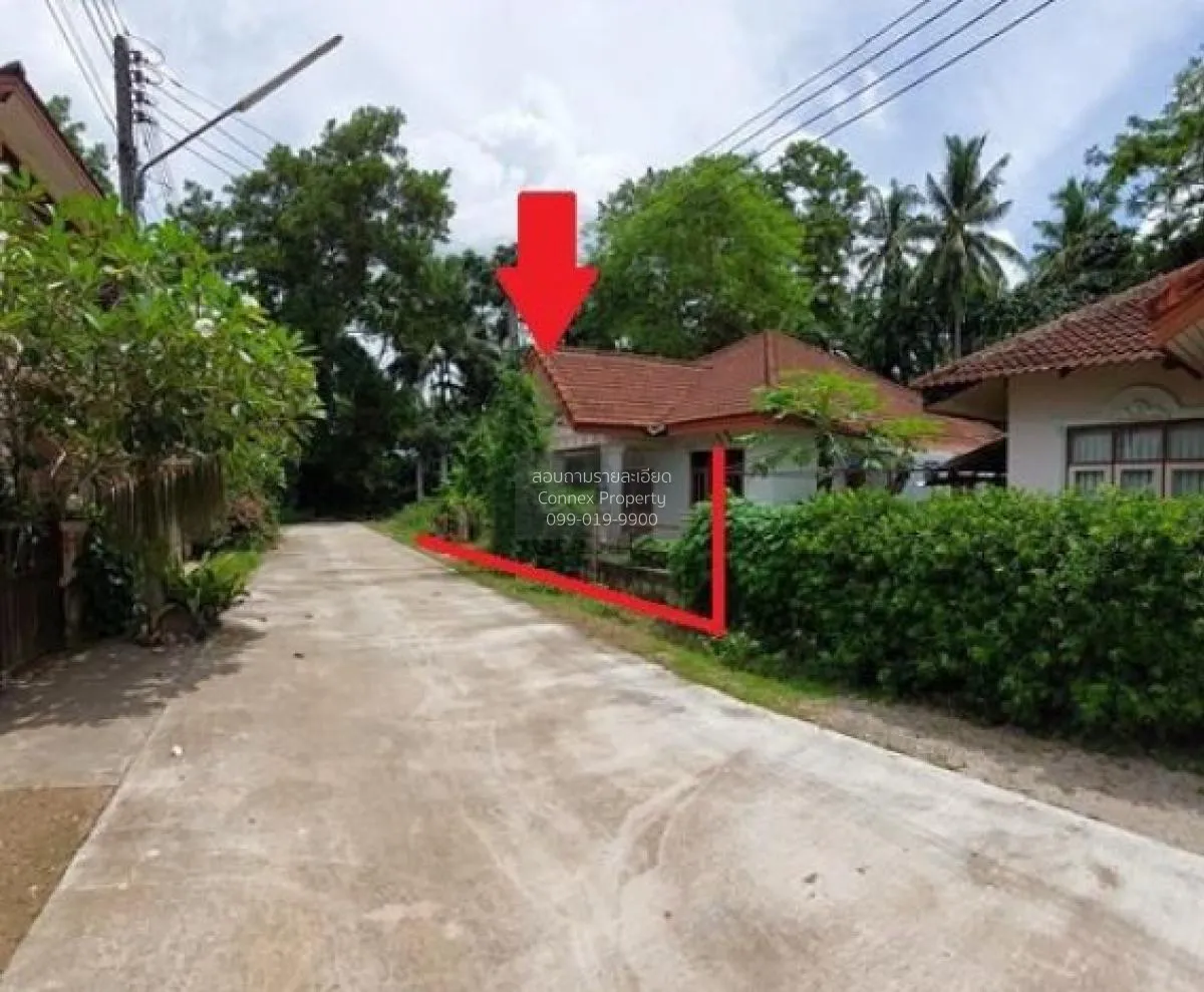For Sale 1 - storey  house 51 square wah Khao Phanom Krabi , Khao 3