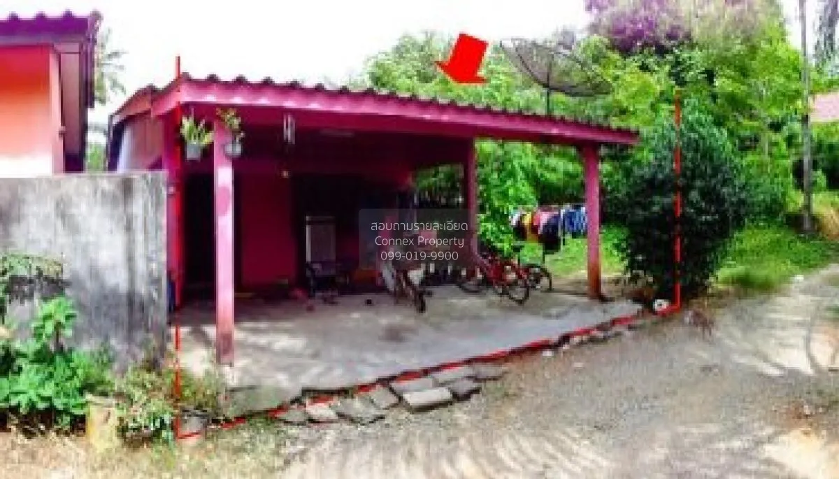 For Sale Single - storey detached house 37.0 sq m Takua Thung - P 3