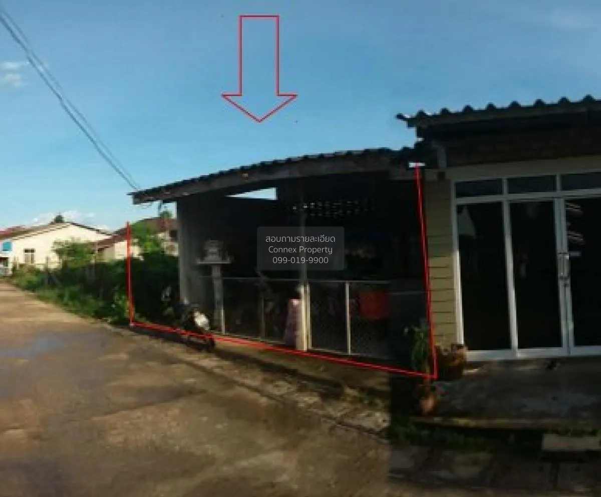 For Sale 1 - storey detached house 63 square wah Pak Phanang - Ph 2