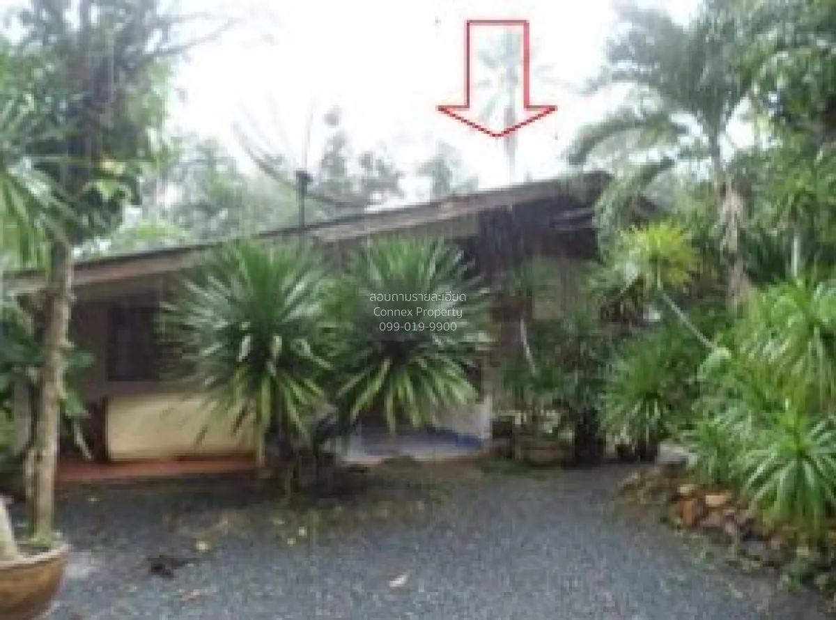 For Sale 1 - storey detached house area 212.70 square wah Kong Ra 1