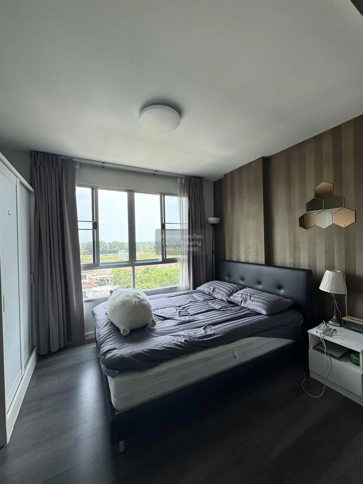 For Rent Condo , Dcondo Campus Resort Bangna , Bang Bo , Bang Bo 