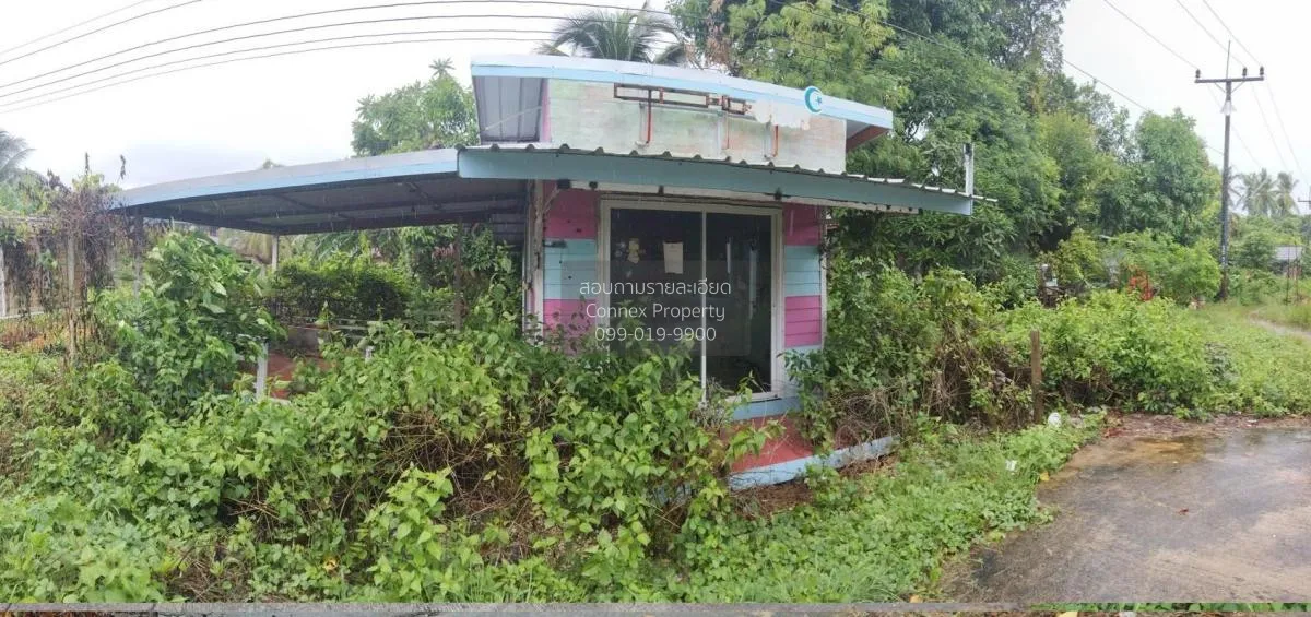 For Sale Single - storey detached house area 22.40 square wah Mua 1