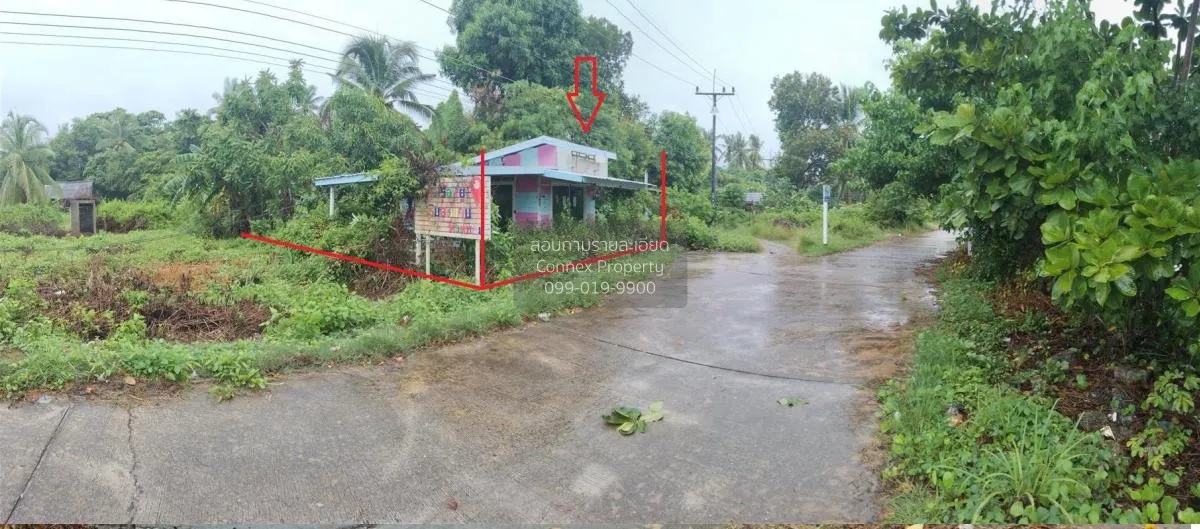 For Sale Single - storey detached house area 22.40 square wah Mua 3