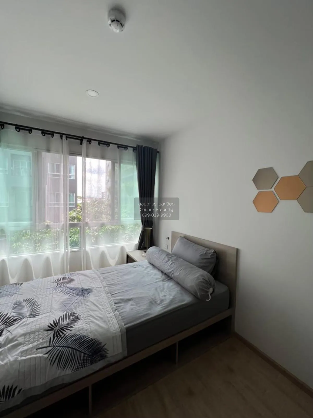 For Rent Condo , Elio Del Moss Phahonyothin 34 , BTS-Kasetsart Un
