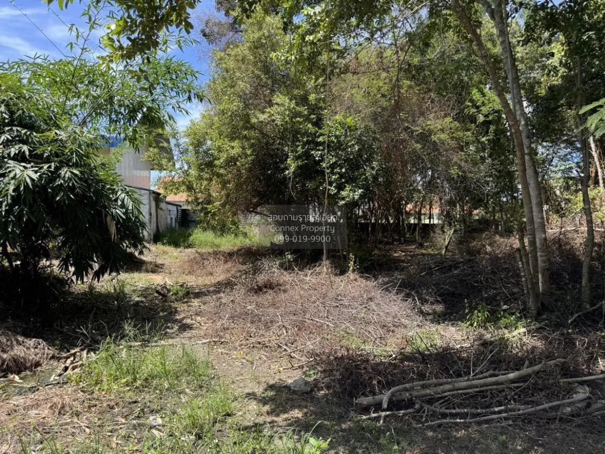 For Sale Vacant land Hua Hin , Hua Hin , Hua Hin , Prachuap Khiri 1